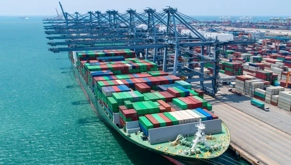 China-Brazil FCL Shipping suppliers
