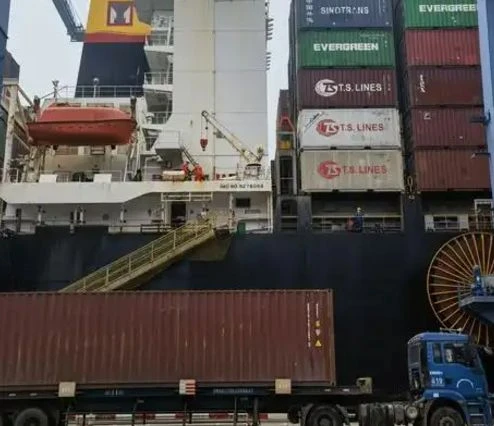 China-Brazil FCL Shipping best
